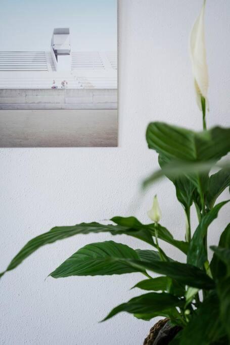 In Weinstadt-schnait Apartment